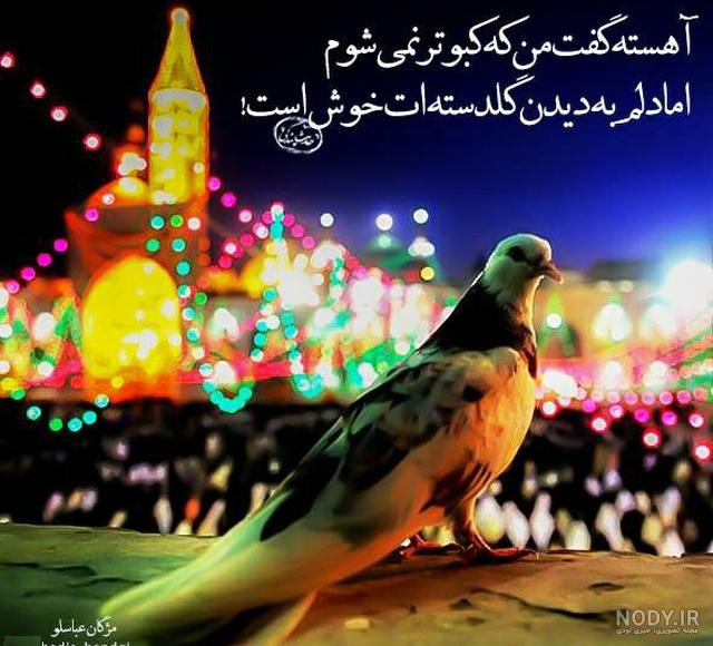 عکس خفن عکس حرم امام رضا با کبوتر