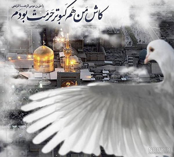 عکس خفن عکس حرم امام رضا با کبوتر