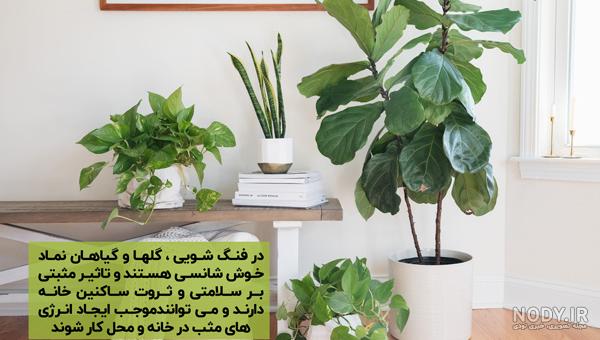 آشنایی با مهم ترین و پرکاربد ترین نماد های فنگ شویی - فروشگاه اینترنتی سحر آشنایی با مهم ترین و پرکاربد ترین نماد های فنگ شویی - فروشگاه اینترنتی سحر