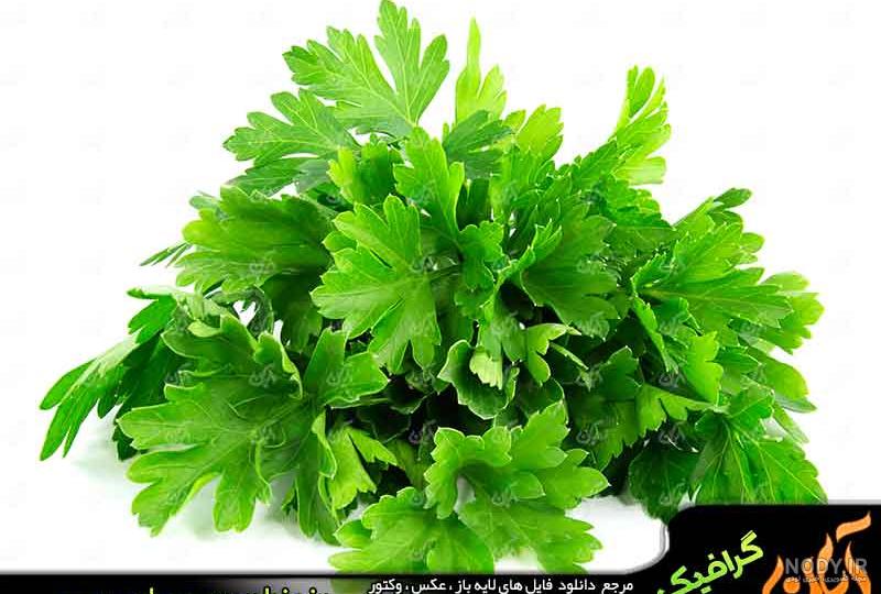 انواع سبزی خوردن با اسم و عکس و خواص آن ها