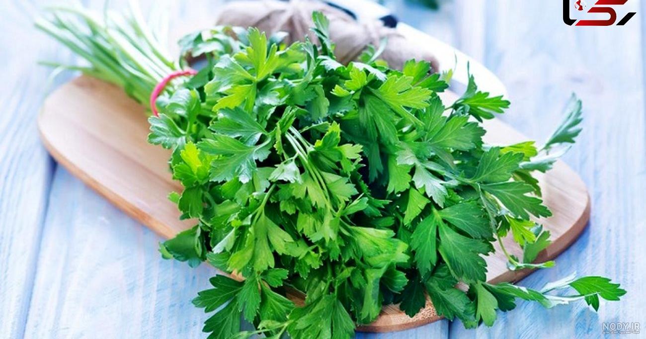 جعفری : خواص و مضرات / طبع / طرز تهیه آب جعفری (جوشانده) و خواص آن - فارس  ایندکس