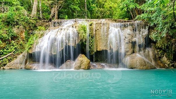 طبیعتی شگفت انگیز و دیدنی در جنگل های گلستان (+عکس) - عصر خبر