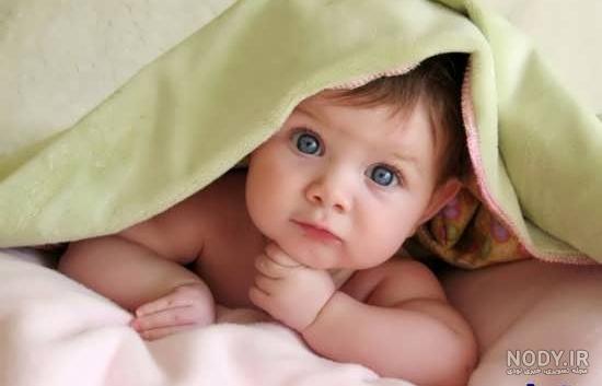 عکس با کیفیت بچه زیبا با چشم های سبز و لباس زرد نشسته در کنار ظرف میوه – عکس با کیفیت و تصاویر استوک حرفه ای عکس با کیفیت بچه زیبا با چشم های سبز و لباس زرد نشسته در کنار ظرف میوه – عکس با کیفیت و تصاویر استوک حرفه ای