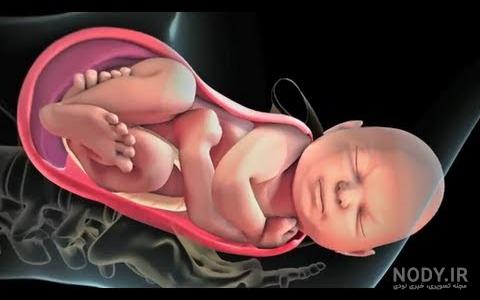 عکس به دنیا آوردن بچه طبیعی