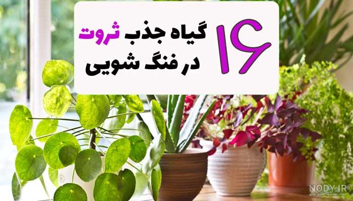 عکس های ثروت ساز - عکس نودی عکس های ثروت ساز - عکس نودی