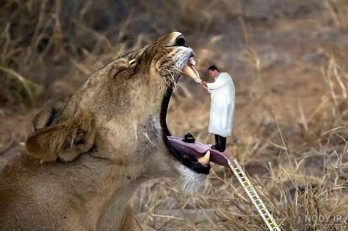 عکس های جالب و خفن