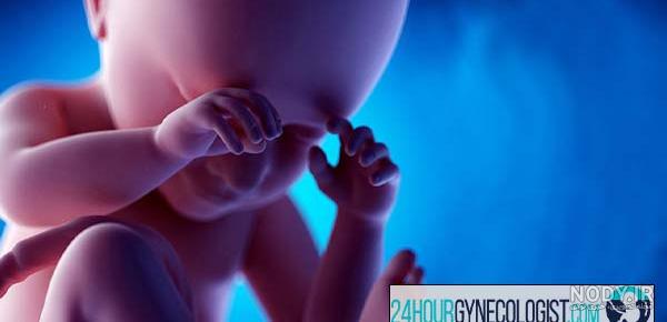 عکس رنگی رحم چیست؟/ به چه دلیل عکس رنگی از رحم تجویز می شود؟ عکس رنگی رحم چیست؟/ به چه دلیل عکس رنگی از رحم تجویز می شود؟