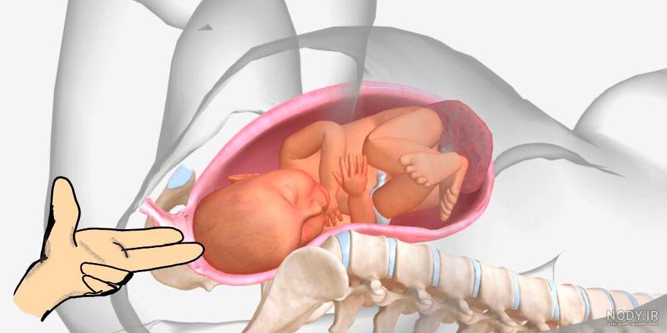 عکس زاییدن بچه طبیعی - عکس نودی