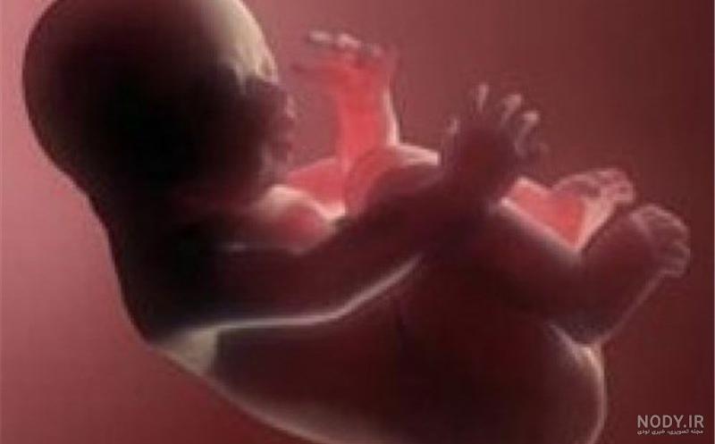 عکس سه بعدی صورت جنین - عکس نودی عکس سه بعدی صورت جنین - عکس نودی
