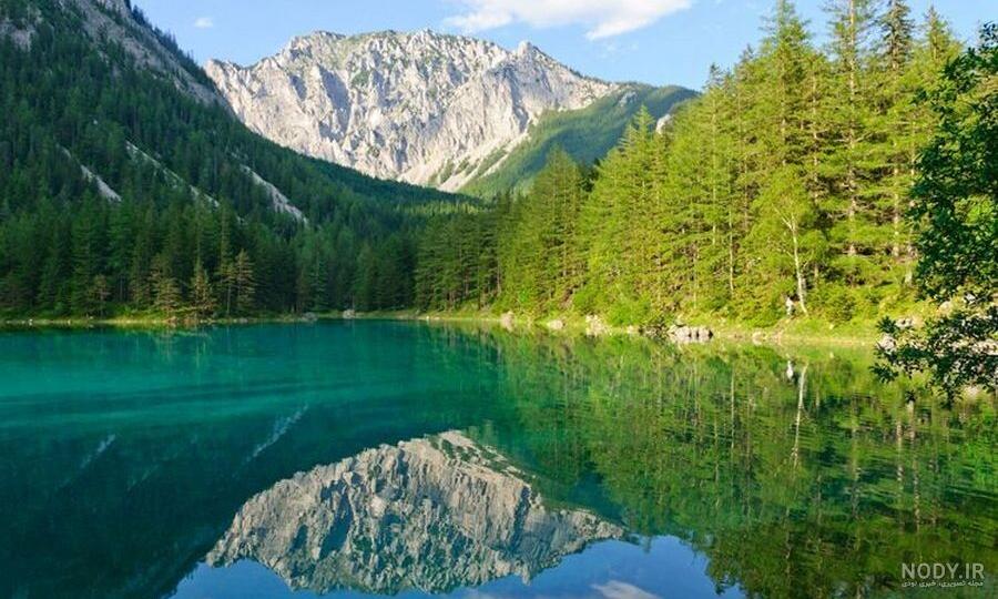 عکس طبیعت جنگل ابر
