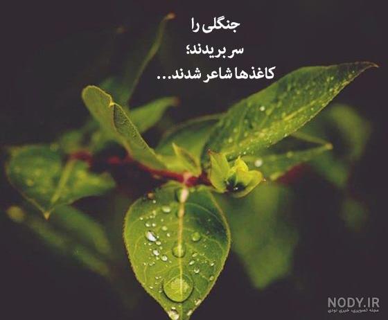 عکس نوشته جنگل