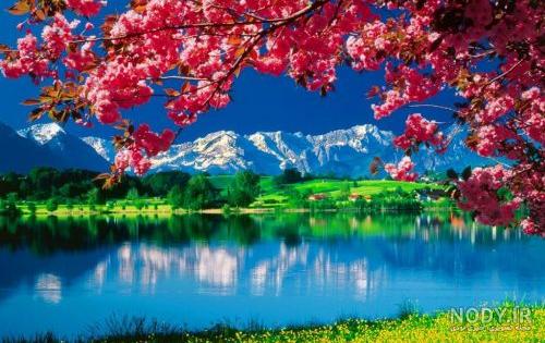 عکس پس زمینه برای کامپیوتر و والپیپر های جذاب برای گوشی - پارس مگ عکس پس زمینه برای کامپیوتر و والپیپر های جذاب برای گوشی - پارس مگ