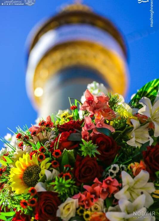 عکس گل جوادی ۱۴۰۰ - عکس نودی