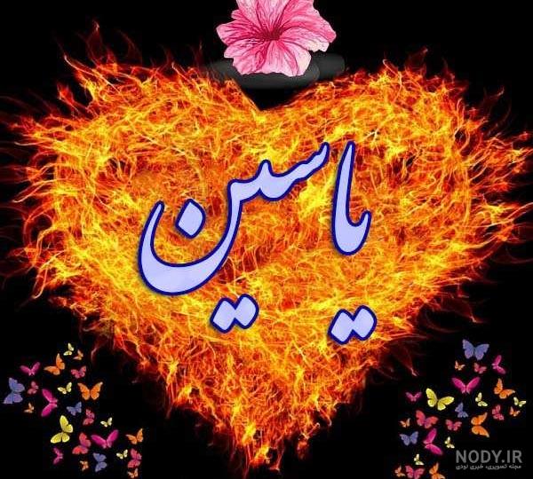 عکس های یاسین سلمانی - عکس نودی