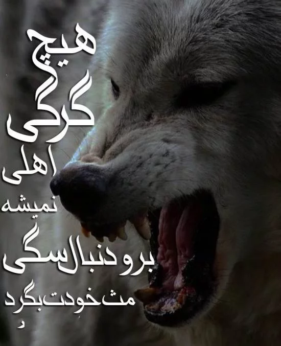لاتی عکس پروفایل تفنگ با متن لاتی عکس پروفایل تفنگ با متن