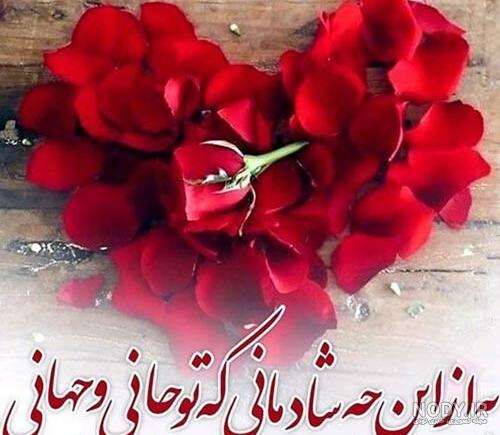 متن پیام تبریک تولد خواهر شوهر با جملات صمیمانه زیبا