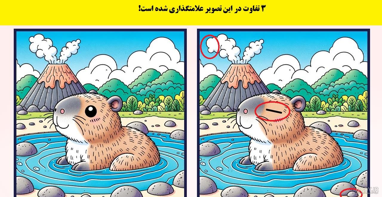 موش خرمن و ویژگی های جالب این حیوان - خبرگزاری اطلس موش خرمن و ویژگی های جالب این حیوان - خبرگزاری اطلس