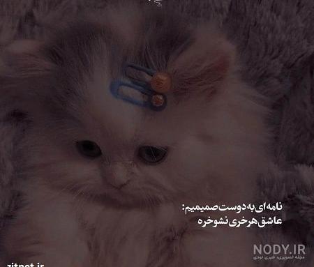 نسخه قابل چاپ