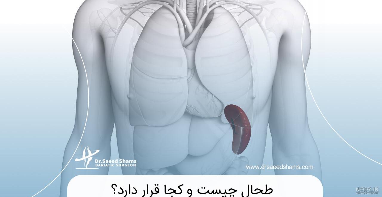 نقاشی های شگفت انگیز یک دختر بچه باهوش با خط های نامنظم نقاشی های شگفت انگیز یک دختر بچه باهوش با خط های نامنظم