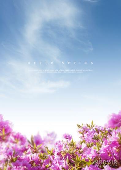 عکس گل بنفشه برای پروفایل