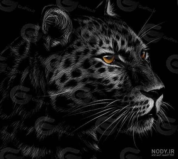 دانلود تصویر زمینه پلنگ خفن و زیبا مخصوص گوشی اندروید سونی