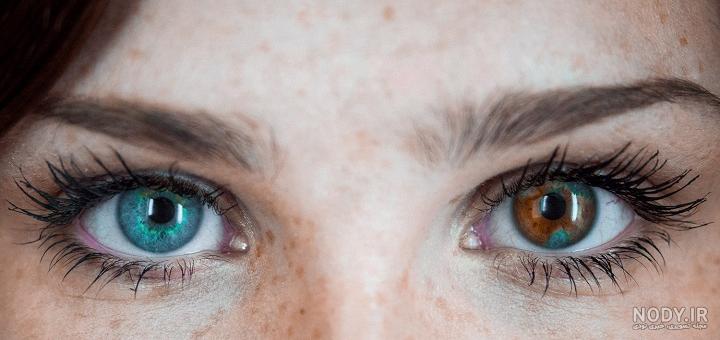 رنگ چشم های هیزل یا فندقی hazel eyes چگونه است؟ چگونه آرایش کنند؟ - بانی مگ