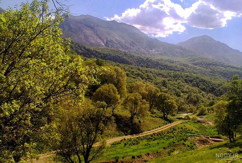 زیباترین جنگل های شمال برای سفری مهیج