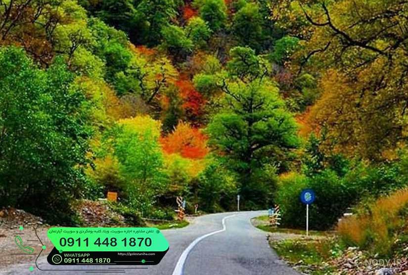 عکس زیباترین جنگل شمال