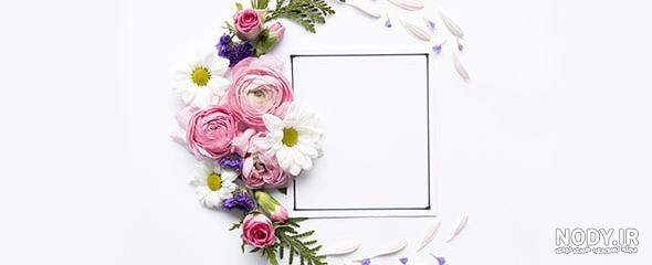 عکس پس زمینه گلدار عکس پس زمینه گلدار