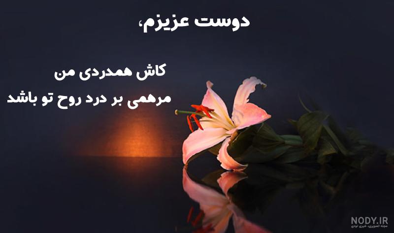 عکس پیام تسلیت به دوست عزیز با زمینه مشکی همراه گل بنفش عکس پیام تسلیت به دوست عزیز با زمینه مشکی همراه گل بنفش
