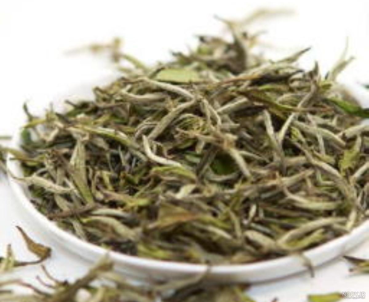 عکس چای سفید و خواص آن