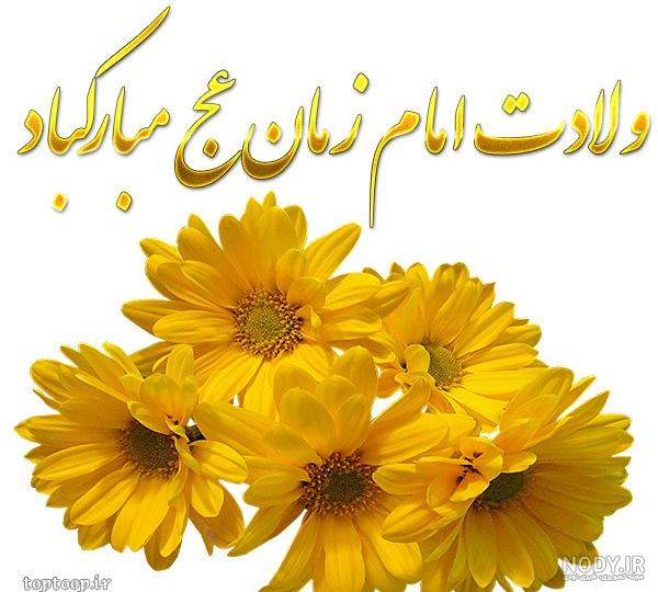مجموعه تصاویر نیمه شعبان | بلاغ