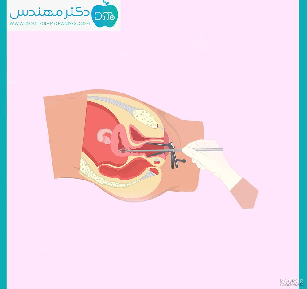 هفته ششم بارداری + وضعیت جنین، علائم و تغذیه در هفته ششم بارداری | مجله هومکا هفته ششم بارداری + وضعیت جنین، علائم و تغذیه در هفته ششم بارداری | مجله هومکا