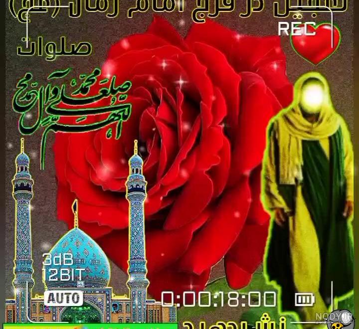 20 عکس پروفایل ولادت امام زمان (عج) + متن و اشعار تبریک تولد حضرت مهدی