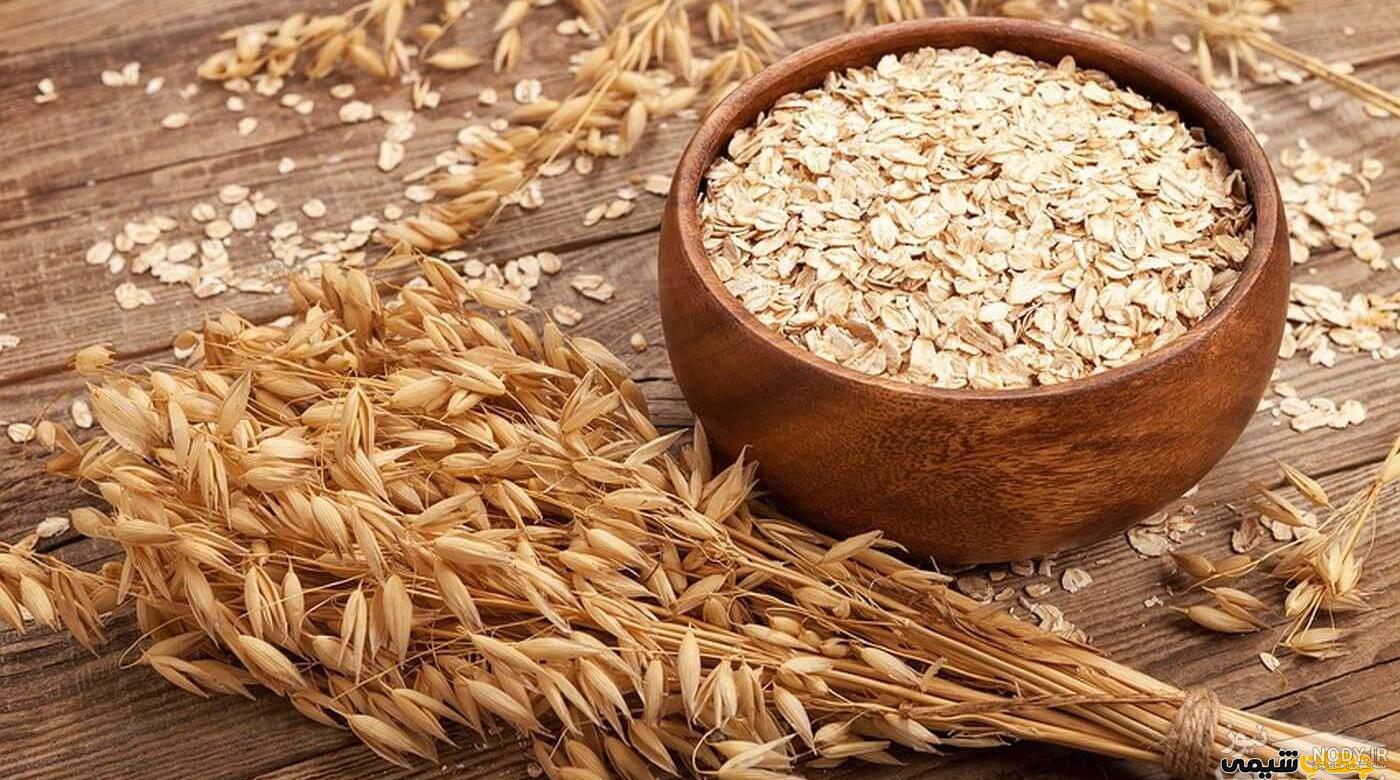 بذر جو دوسر وحشی - متا بذر بذر جو دوسر وحشی - متا بذر