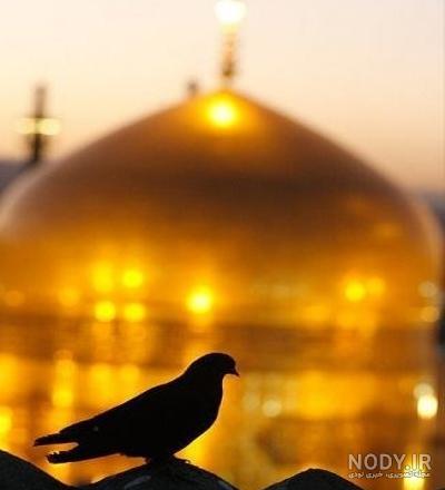 تصاویر خام از حرم امام رضا (علیه السلام) | متن نگار