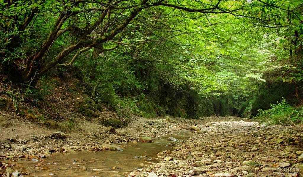 جنگل سنگ در استان یوننان چین + تصاویر