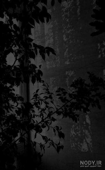 دانلود تصویر زمینه مشکی عاشقانه Black Wallpaper برای موبایل دانلود تصویر زمینه مشکی عاشقانه Black Wallpaper برای موبایل