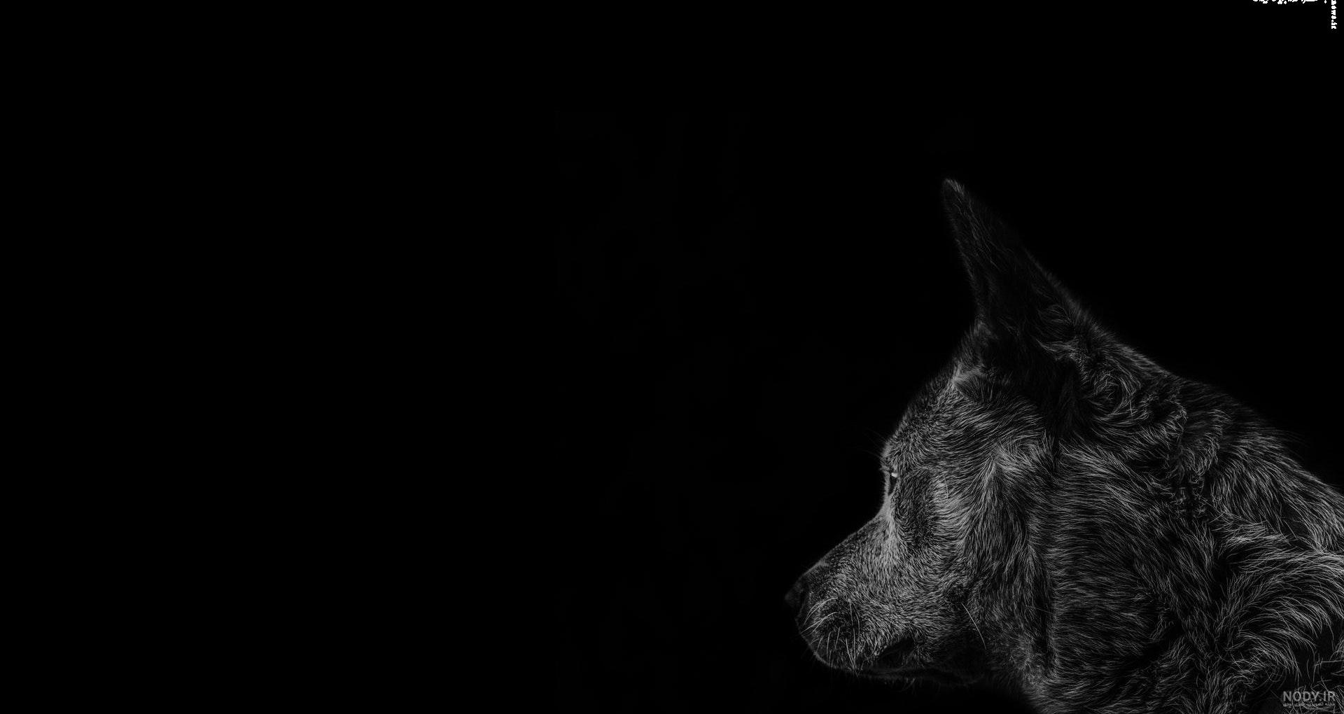 دانلود مجموعه تصاویر پس زمینه Black Wallpapers با محیط مشکی - دانلود فارسی دانلود مجموعه تصاویر پس زمینه Black Wallpapers با محیط مشکی - دانلود فارسی