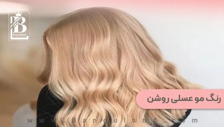 رنگ مو چای عسلی پادینا Te7/8.730 - ماتیک رنگ مو چای عسلی پادینا Te7/8.730 - ماتیک