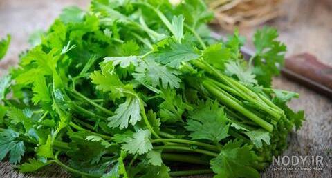 طرز تهیه تره کوهی 🌱 ساده و خوشمزه توسط Media Rahmani - کوکپد