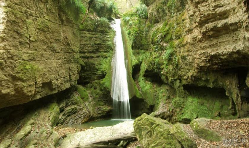 عجیب ترین جنگل سنگی دنیا + عکس