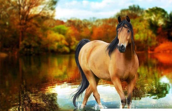 عکس های بامزه از دوستی حیوانات برای پروفایل