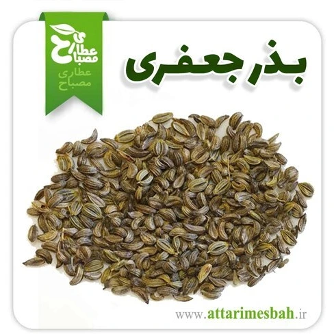 عکس بذر سبزی جعفری