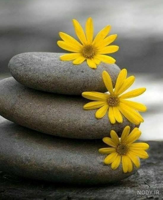 عکس بهار | 100 عکس بهاری حرفه ای قشنگ برای استوری و پست عکس بهار | 100 عکس بهاری حرفه ای قشنگ برای استوری و پست