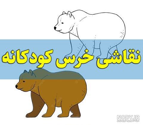 عکس بچه خرس واقعی عکس بچه خرس واقعی