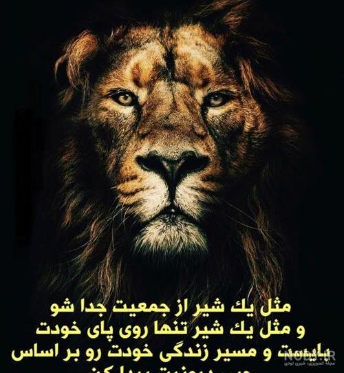 عکس حضرت علی علیه سلام