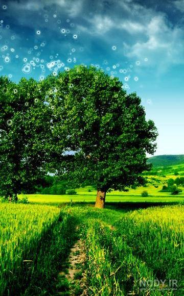 عکس های زیبا برای تصویر زمینه گوشی عکس های زیبا برای تصویر زمینه گوشی