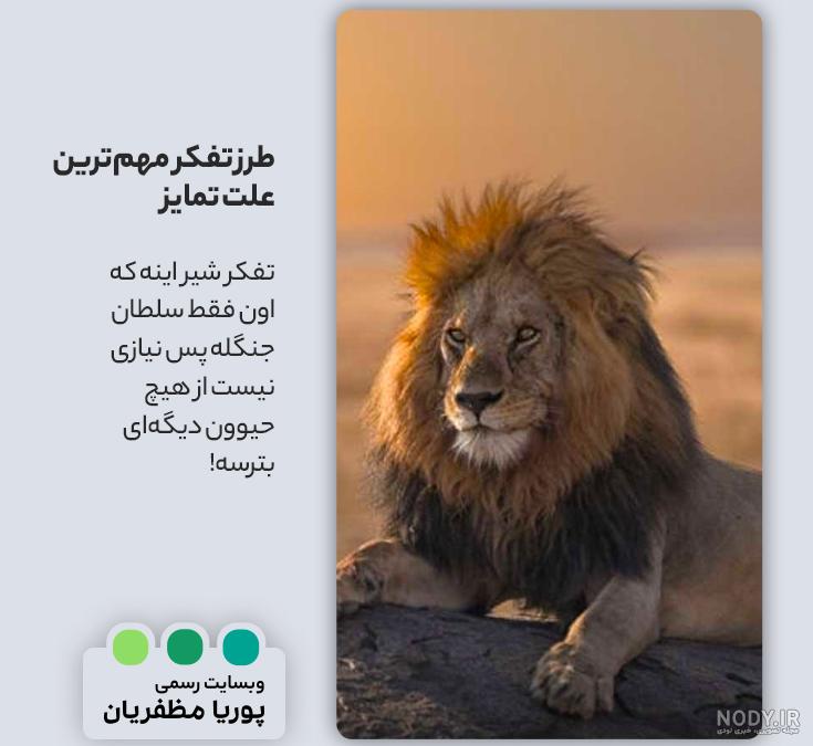 عکس سلطان جنگل