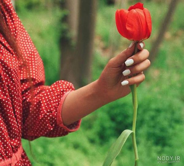 عکس طبیعت بهاری برای پروفایل عکس طبیعت بهاری برای پروفایل